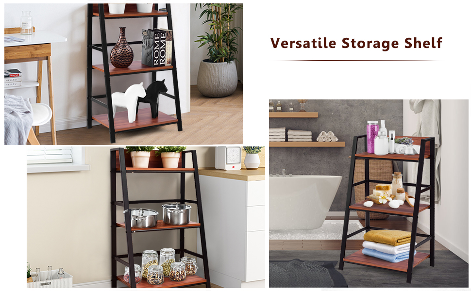 3-tier ladder shelf
