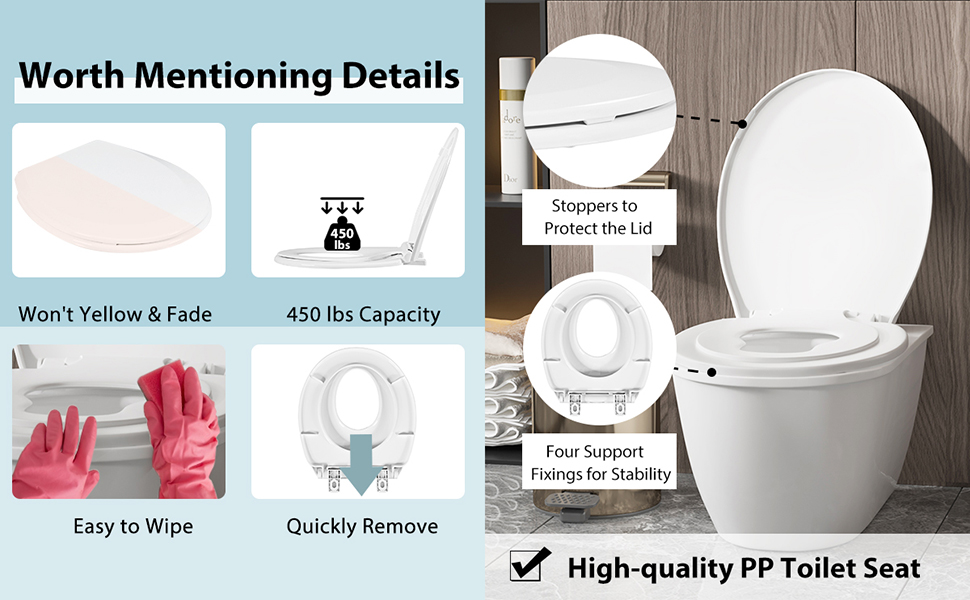 Toilet Seat with Lid