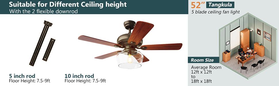 Ceiling Fan with Light