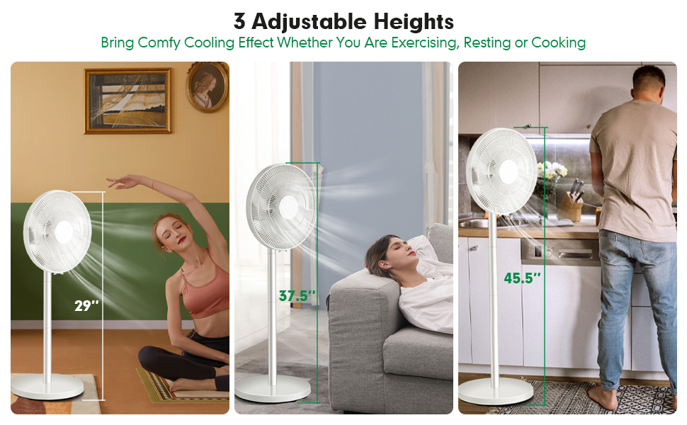 Adjustable Standing Fan