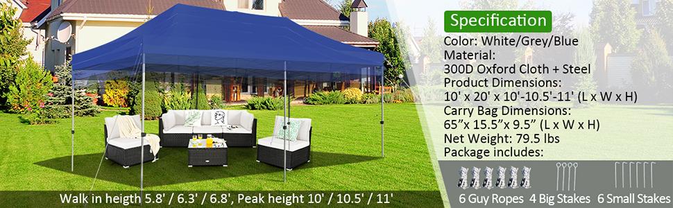 10x20 canopy