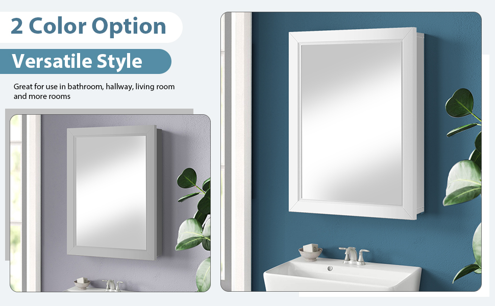 Mirrored Bathroom Cabinet