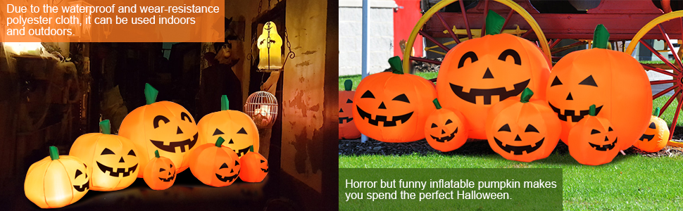 Halloween Pumpkin Patch