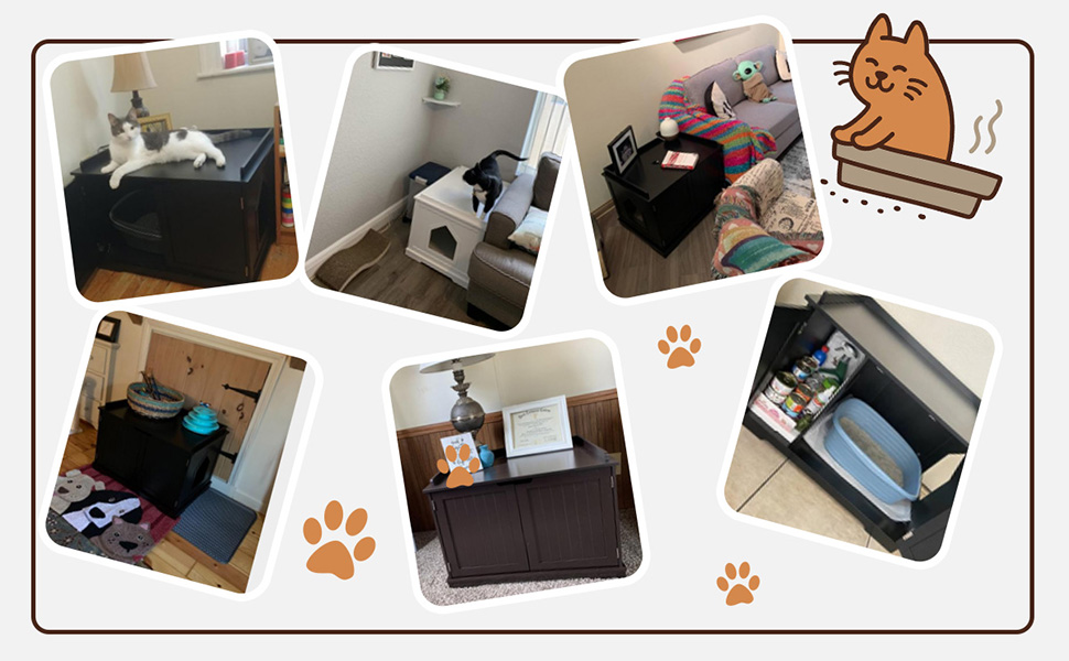 Litter Box Enclosure