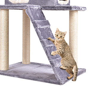 cat tree