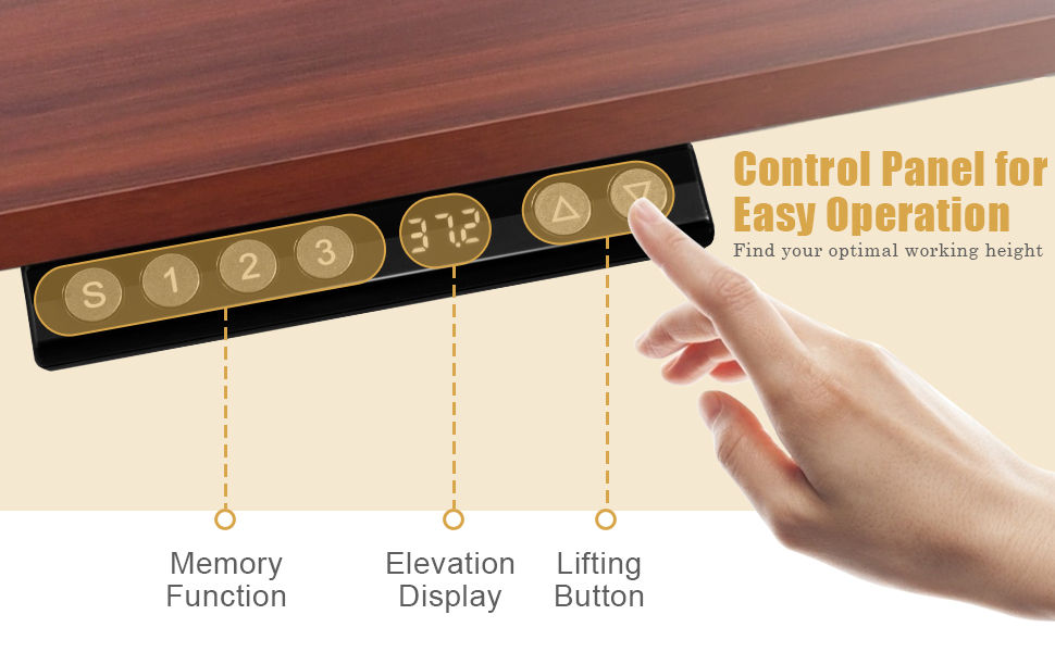 dual motor electric standing desk