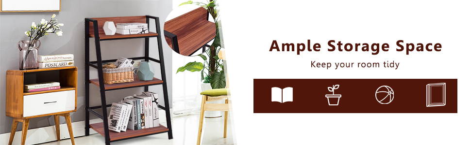 3-tier ladder shelf